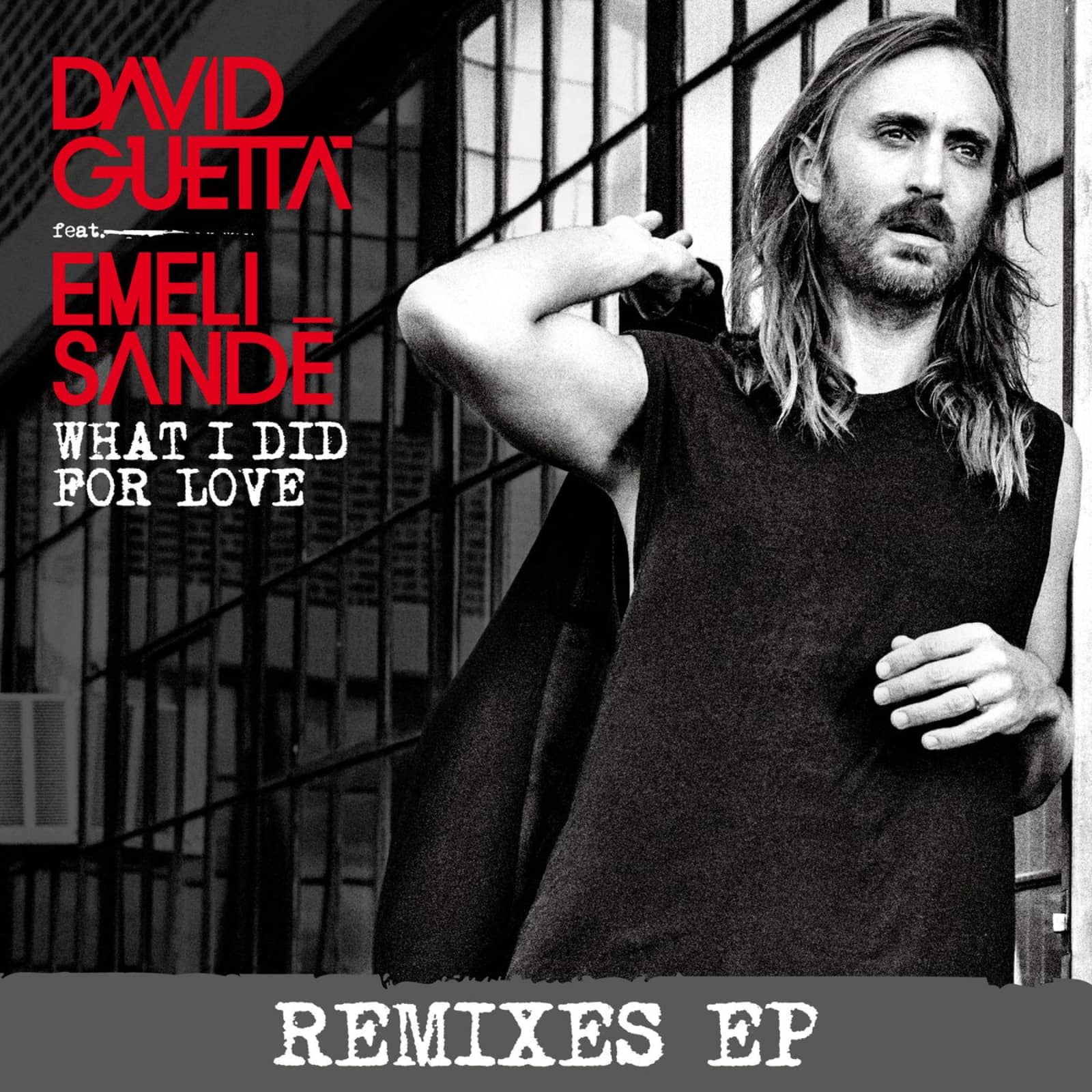 David Guetta feat. Emeli Sande — What I Did For Love (VINAI Remix)